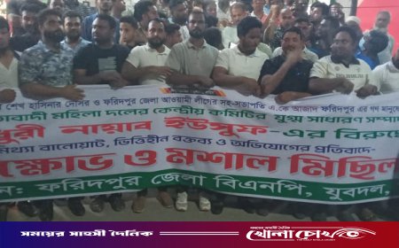 ফরিদপুরে জেলা যুবদলের উদ্যোগে মশাল মিছিল অনুষ্ঠিত