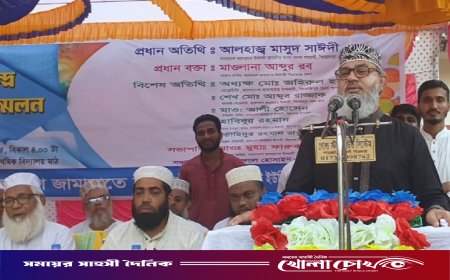 সৎ, নীতি ও আদর্শবান প্রার্থীকে দেশের কল্যাণে কাজ করার সুযোগ দিন - মাসুদ সাঈদী