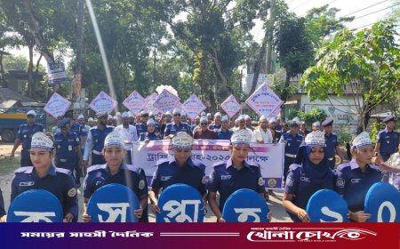 ট্রাফিক সপ্তাহ উদযাপন উপলক্ষে পিরোজপুরে বর্ণাঢ্য র‌্যালি ও আলোচনা সভা অনুষ্ঠিত