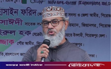 দেশ গড়তে শুধু নেতা নয়, নীতিরও পরিবর্তন করতে হবে - মাসুদ সাঈদী