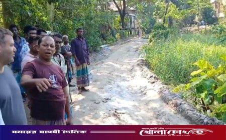 শ্রীনগরে সরকারি রাস্তার উন্নয়ন কাজে বাধা, চরম ক্ষোভে এলাকাবাসী