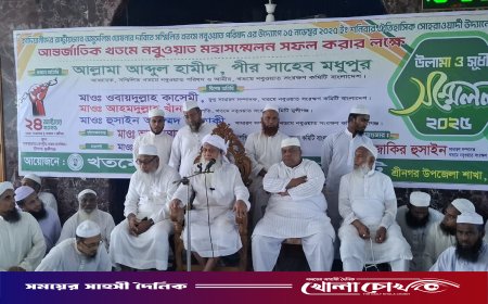 কাদিয়ানীদের অমুসলিম ঘোষণার দাবিতে শ্রীনগরে ইমাম ও সুধী সম্মেলন