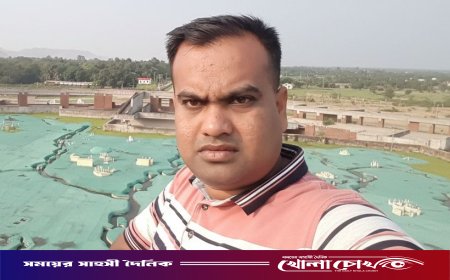 ফরিদপুরে মন্দিরের গাছ কেটে বিক্রি, কথিত যুবদল নেতার বিরুদ্ধে অভিযোগ