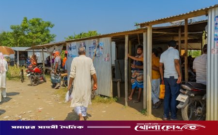 অবাধে চলছে জাটকা ও মা ইলিশ বেচাকেনা