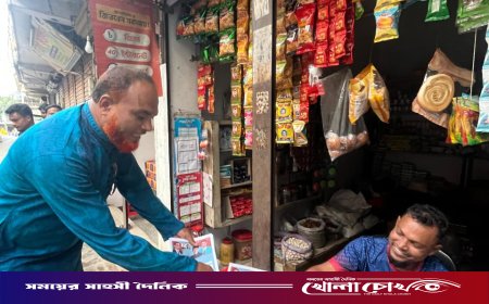 আশুলিয়ায় বিএনপির 'রাষ্ট্র কাঠামো মেরামত' ৩১ দফা বাস্তবায়নে লিফলেট বিতরণ