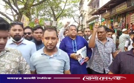 বিএনপি হলো মানুষের আস্থার জায়গা, সারাদেশে এখন বিএনপি জয়জয়কার : মীর সরফত আলী সপু