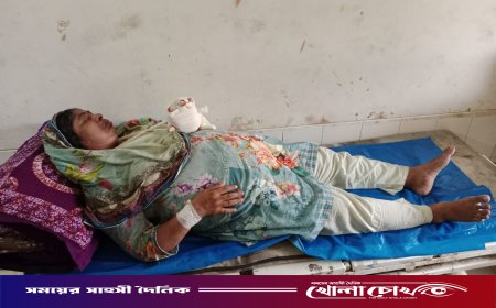 ফরিদপুরে বেপরোয়া কাভার্ড ভ্যানের ধাক্কা, গুরুতর আহত প্রধান শিক্ষিকা