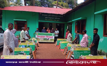 তেলজাতীয় ফসল উৎপাদন বৃদ্ধিতে লামায় কৃষি কর্মকর্তাদের প্রশংসা
