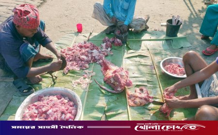 আগৈলঝাড়ায় জেলেদের দেওয়া সরকারি গরু জবাই করে বিক্রি