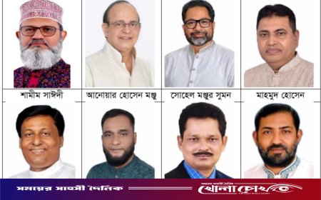 পিরোজপুর-২ আসনে বিএনপি প্রার্থী চূড়ান্ত নয়, মাঠে সক্রিয় জামায়াতের শামীম সাঈদী