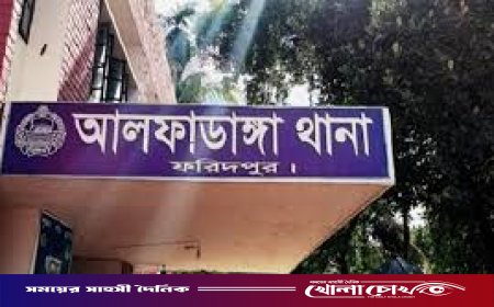 আলফাডাঙ্গায় মাদক মামলায় রফিকুল আলমের ছয় মাসের কারাদণ্ড