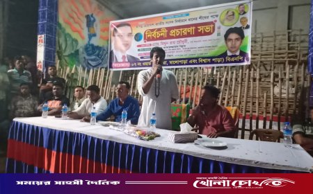 মহম্মদপুরে ধানের শীষের পক্ষে নির্বাচনী প্রচারণা সভা