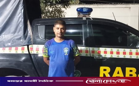 ফরিদপুরে চোরাচালান মামলার সাজাপ্রাপ্ত আসামি সবুজ মল্লিক গ্রেফতার