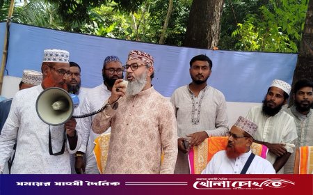 টেকসই গনতন্ত্র, সুশাসন ও জবাবদিহিতা ছাড়া দেশের উন্নয়ন সম্ভব নয় - মাসুদ সাঈদী