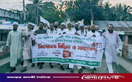 লগি-বৈঠার তাণ্ডবের বিচারের দাবিতে আগৈলঝাড়ায় জামায়াতের বিক্ষোভ