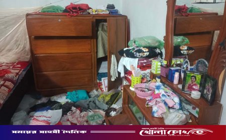 পিরোজপুরে চুরির উপদ্রব বেড়ে যাওয়ায় ভোগান্তিতে এলাকাবাসী