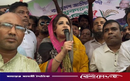 ঐক্য কমিশনের রিপোর্টে অনৈক্যের সুর: শামা ওবায়েদ