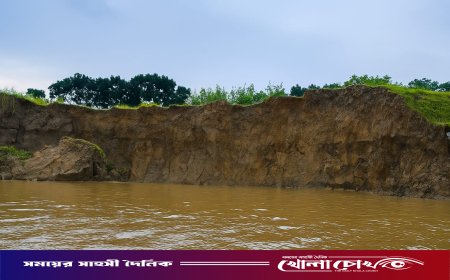 পদ্মার ভাঙনে ৩০ মিটার বাঁধ বিলীন, হুমকির মুখে সড়ক-বাড়ি-স্কুল
