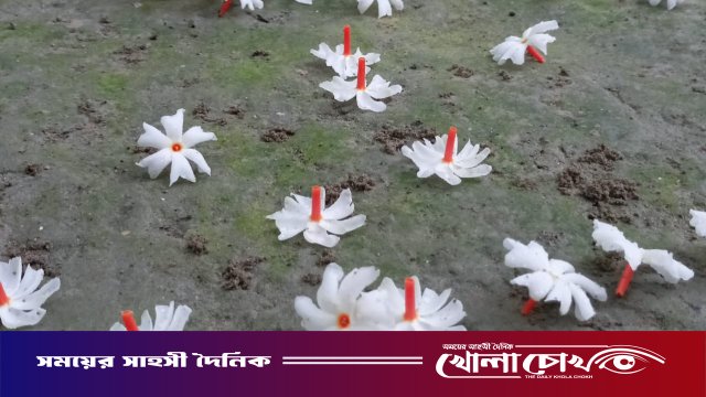 মাগুরায় শরতের ভোরে শিউলির ঘ্রাণ, শিশিরে লেখা সাদা কবিতা