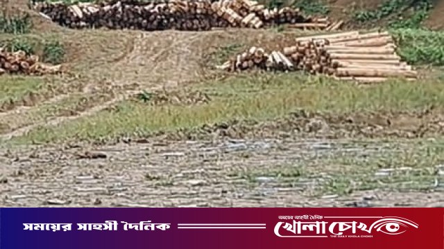 রুমা বাস টার্মিনালের পাশে কাঠের স্তূপে জনস্বার্থ হুমকির মুখে