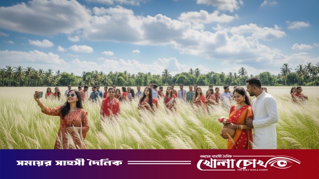 কাশফুলের শুভ্রতায় সেজেছে পিরোজপুর, প্রকৃতিতে লেগেছে শরতের উৎসব