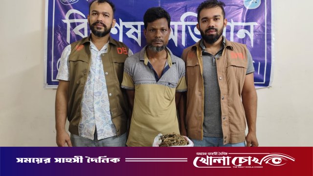 আশুলিয়ায় ডিবি পুলিশের অভিযানে গাঁজাসহ মাদক ব্যবসায়ী আটক