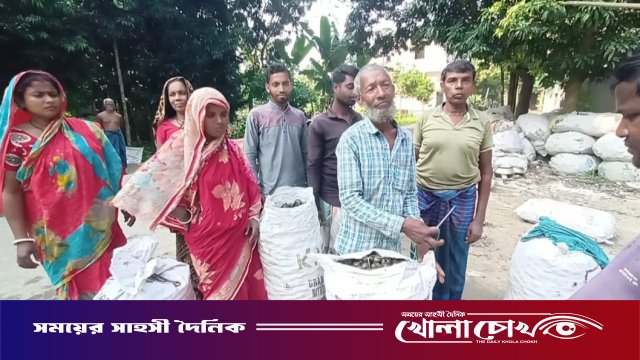 মাগুরার বিলে অবহেলিত শামুকই এখন শত শত পরিবারের ভাগ্য বদলের হাতিয়ার