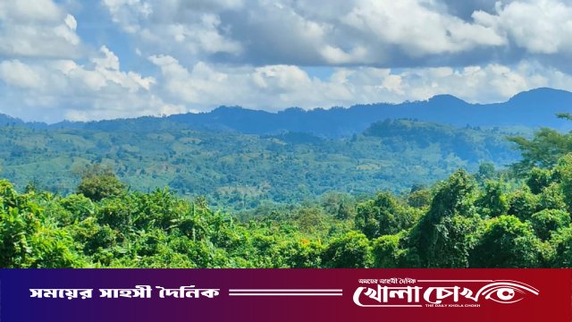 প্রকৃতির অটুট বাঁধন: আলীকদম মাতামুহুরী রিজার্ভের সবুজ মহিমা