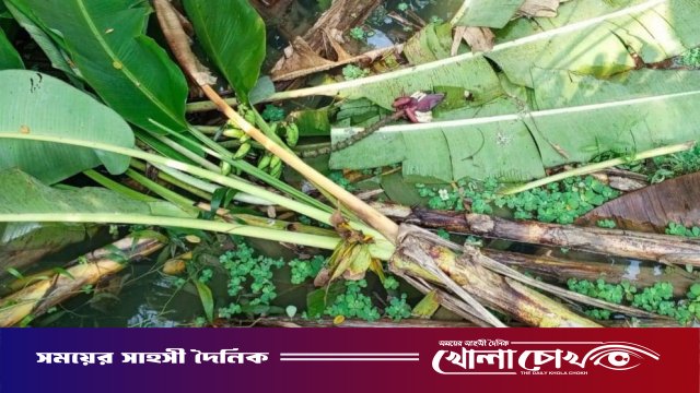 বিএনপি নেতার কলাগাছ কেটে আওয়ামী লীগ নেতার জমি দখলের চেষ্টা