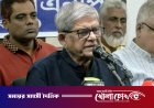 হাসিনার রায় ঘিরে অরাজকতার চেষ্টা করছে একটি মহল: মির্জা ফখরুল