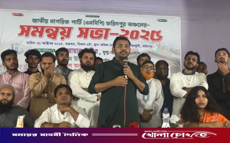 শাপলা কলি কয়েকদিন ভিজলেই ফুটবে ফুল: সরোয়ার তুষার