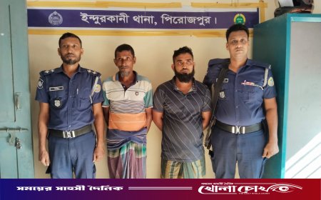 পিরোজপুরের ইন্দুরকানীতে অবৈধভাবে সরকারি পুলের ভীম বিক্রি
