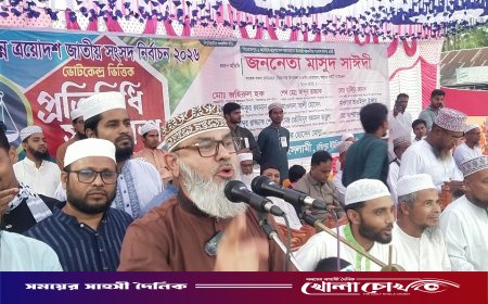 জামায়াতে ইসলামীকে ভোট দিলে বাংলাদেশকে উন্নয়নের স্বর্গরাজ্যে পরিণত করবো - মাসুদ সাঈদী