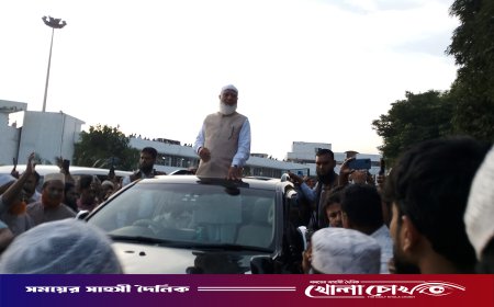 যুক্তরাষ্ট্র, যুক্তরাজ্য ও তুরস্ক সফর শেষে দেশে ফিরলেন ডা. শফিকুর রহমান