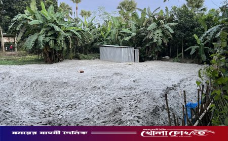 বীর মুক্তিযোদ্ধার পরিবারের জমি দখলের অভিযোগ, নিষেধাজ্ঞা অমান্য করে দৌরাত্ম্য ফরিদপুরে