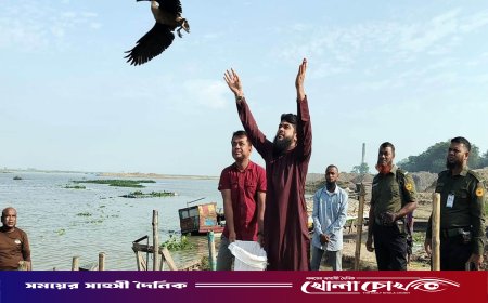 নওগাঁয় প্রশাসনের তৎপরতায় ৬টি অতিথি পাখি উদ্ধার ও মুক্তি