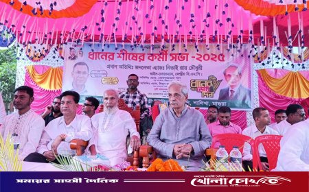 মাগুরার ছানি আড়পাড়ায় ধানের শীষের কর্মীসভা অনুষ্ঠিত