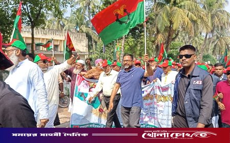 নেছারাবাদে জাতীয় বিপ্লব ও সংহতি দিবস উদযাপিত