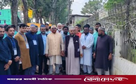 পিরোজপুরে ল'ইয়ার্স ক্লাবের সদস্যদের আল্লামা সাঈদী ফাউন্ডেশন পরিদর্শন ও কবর জিয়ারত অনুষ্ঠিত