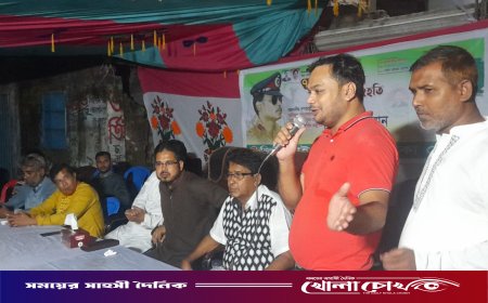 বিপ্লব ও সংহতি দিবস উপলক্ষে ঢাকা জেলা জিয়া সাইবার ফোর্সের দোয়া ও আলোচনা সভা