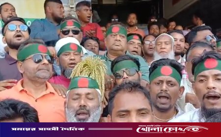 মনোনয়ন নিয়ে প্রশ্ন থাকলেও ঐক্যবদ্ধভাবে ধানের শীষের পক্ষে কাজ করব: মীর সরফত আলী সপু