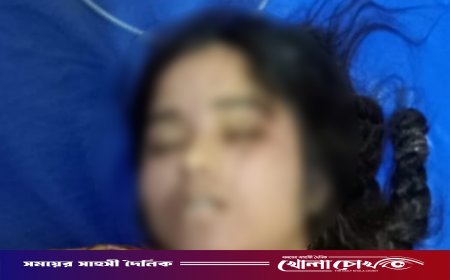 ফরিদপুরে গলায় ফাঁস দিয়ে গৃহবধূর আত্মহত্যা