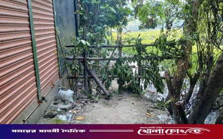 শ্রীনগরে মামলা জেরে প্রবাসীর চলাচলের রাস্তায় বেড়া নির্মাণের অভিযোগ