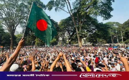 কর্মবিরতিতে প্রাথমিকের শিক্ষকরা, দুই উপদেষ্টার পদত্যাগ দাবি