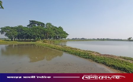 ইছামতি বিল-ফসল,মাছ আর পদ্মফুলে সাজানো প্রকৃতির অপার সৌন্দর্য
