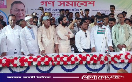 হাতিয়ায় বিএনপির মনোনীত প্রার্থী পরিবর্তনের দাবি