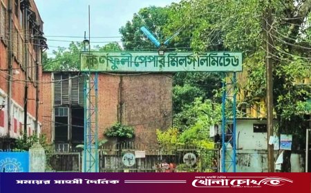 ত্রয়োদশ জাতীয় সংসদ নির্বাচনের ব্যালট ছাপাতে কেপিএম থেকে ৯১৪ টন কাগজ ক্রয় ইসির