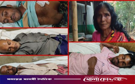 নগরকান্দায় ধানের ধুলোকে কেন্দ্র করে দুই পক্ষের সংঘর্ষে আহত ৭