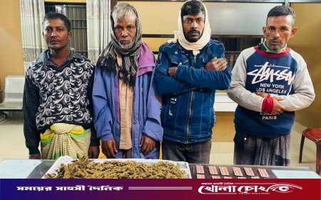 নওগাঁয় প্রায় এক কেজি গাঁজা ও ২৪০ পিস ট্যাপেন্টাডলসহ আটক ৪