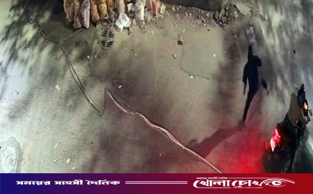 মোহাম্মদপুর প্রিপারেটরি স্কুলে পেট্রোল বোমা হামলা